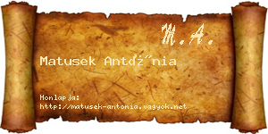 Matusek Antónia névjegykártya